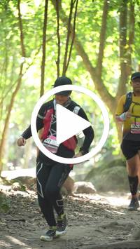 BIB:  <button type="button" onclick="openModal(28106063)" class="btn btn-primary btn-sm float-right" data-toggle="modal" data-target=".modal-high-quality">
                <i class="fa fa-download"></i> Download
                </button>